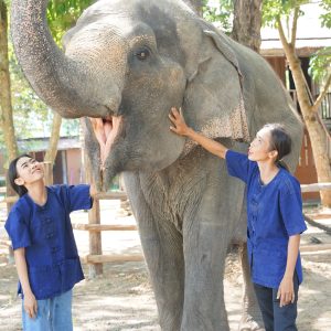 How to Train a Wild Elephant: Modern Conservation and Ethical ...