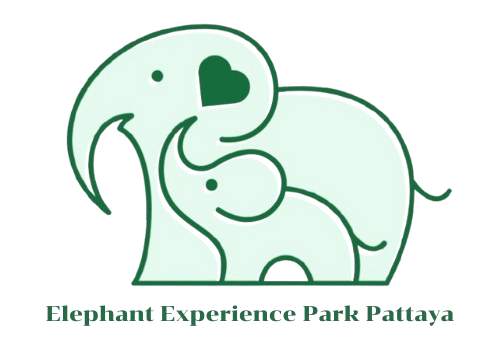 Elephant Experience Park Pattaya