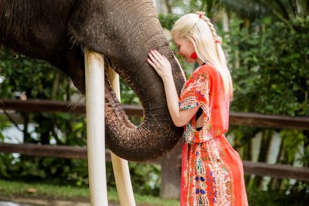 Experience the Magic of Ethical Elephant Encounters in Pattaya